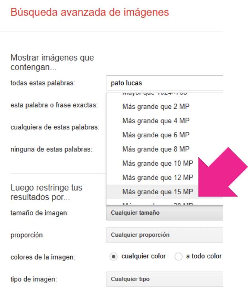 busqueda avanzada de imagenes