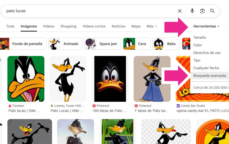 busqueda avanzada de imagenes